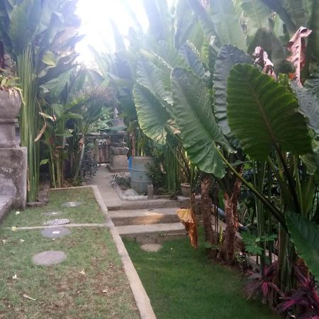 Kerta Family Bed And Breakfast Ubud  Ngoại thất bức ảnh